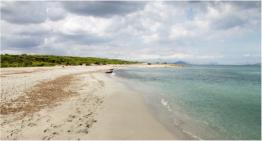 Wilder Strand an der M�ndung des Flusses Son Real. Interner Weg von der Finca Es Ravell� bis zum Strand.