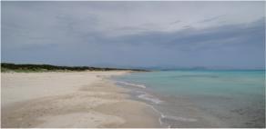 Wilder Strand in 500 Meter Entfernung vom Fluss Son Real