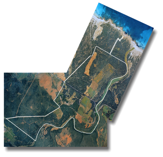 Es Ravell� boundaries, including path to the beach 