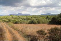 Extensive network of inland paths