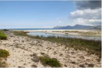 Mouth of the Son Real stream on the beach