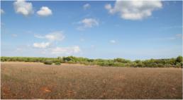 Large expanses of arable land