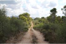 Private path to the beach