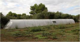 2 Fields for crops and 1 greenhouse.