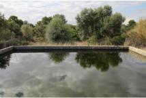 Water for irrigation.