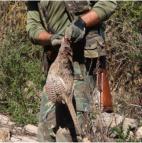 Hunting at �Es Ravell�� / A captured peasant