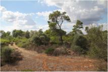 ???????? ???? ?????????? ?????