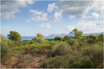 Fant�sticas vistas al mar desde la finca "Es Ravell�"
